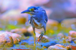 乌克兰为何仍参加欧洲杯乌克兰为啥还参加欧洲杯