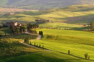 欧洲杯11分钟,一场关于速度与激情的盛宴?欧洲杯11分钟